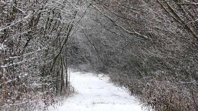 冬天的胡同景观被雪覆盖视频素材