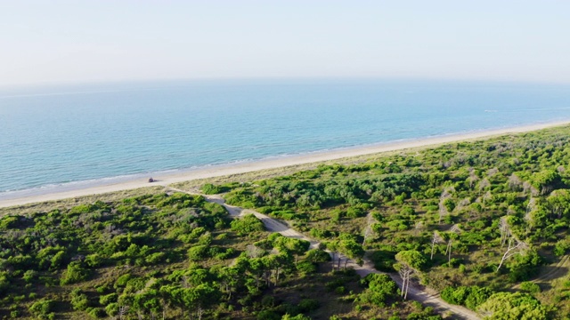 风景鸟瞰图阳光遥远的海滩，加尔加诺国家公园，意大利视频素材