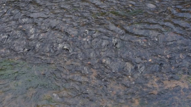 特写的河流流过灰色的石头。视频素材