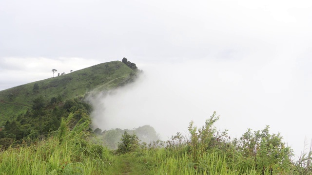 雨季雨后山顶景观森林与雾。森林山在薄雾中视频素材