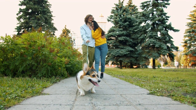 多莉拍摄了柯基犬在城市公园里和一对接吻的男女散步视频素材