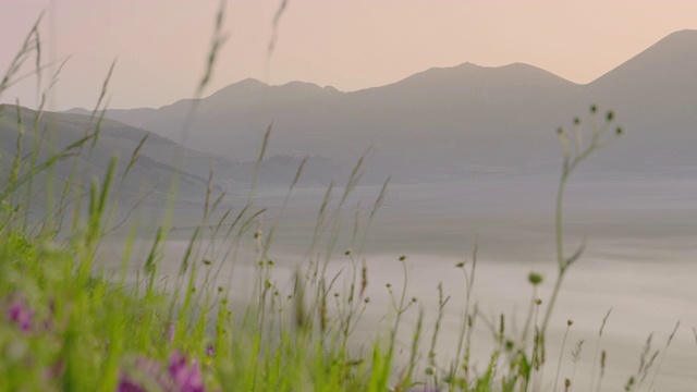 意大利翁布里亚Castelluccio，风景优美的山脉和迷雾笼罩的山谷，草地和野花视频素材