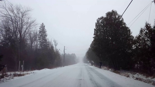 *明亮版*驾驶农村常绿森林道路在冬季暴风雪在白天。司机视角:下雪了，树旁的乡村道路上下雪了。视频素材