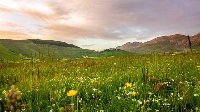 WS TIME LAPSE田园诗般的山地草甸，Castelluccio，翁布里亚，意大利视频素材