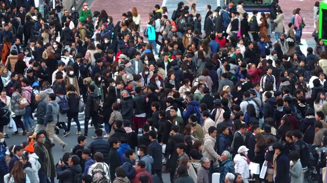 日本东京涩谷，有红绿灯和汽车的人行横道视频素材