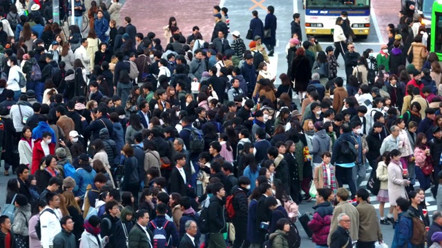 日本东京涩谷，有红绿灯和汽车的人行横道视频素材