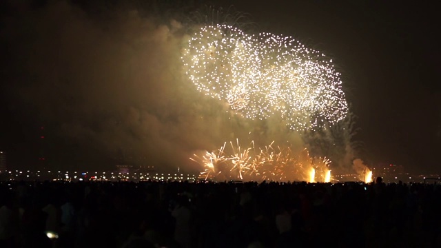 放烟花庆祝新年视频素材