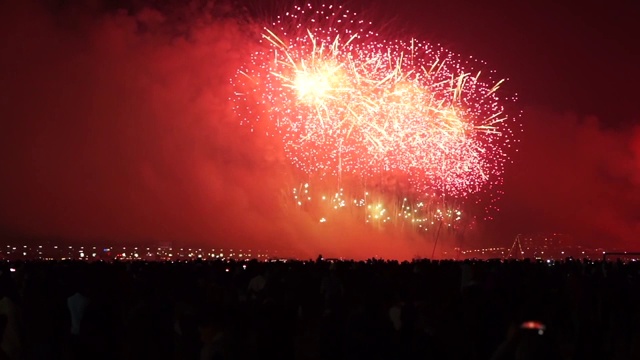 放烟花庆祝新年视频素材