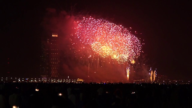 放烟花庆祝新年视频下载