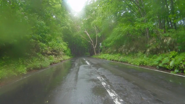 驾车穿过森林雨路视频素材