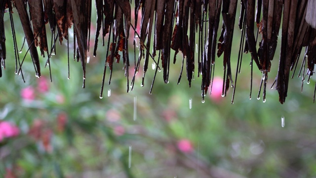 夏天的雨，大雨滴落在稻草屋顶，坦桑尼亚，非洲视频素材