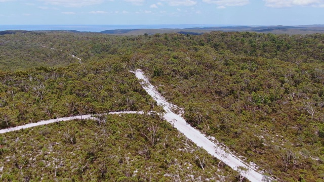 一辆四轮驱动越野车在澳大利亚昆士兰弗雷泽岛的内陆沙地上穿过一片森林，美丽的高空角度无人机视图。视频素材