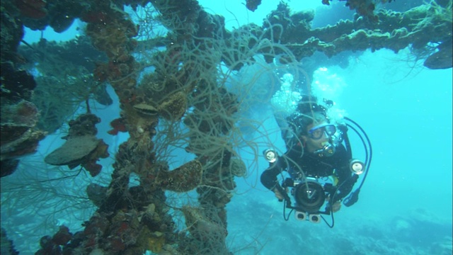 一名潜水员拍摄在水下沉船上生长的海洋生物。视频素材