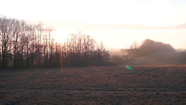 以黄色太阳为背景的秋天风景。视频素材