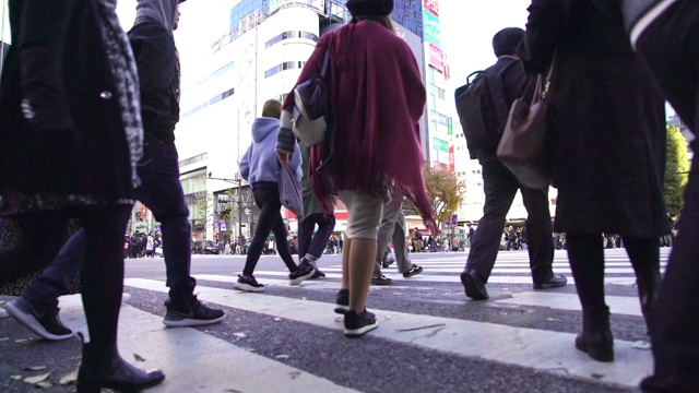 在日本东京涩谷，拥挤的行人男女游客穿过带有红绿灯的人行横道视频素材