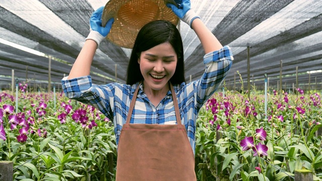 亚洲少女摆出一个大兰花花园。视频素材