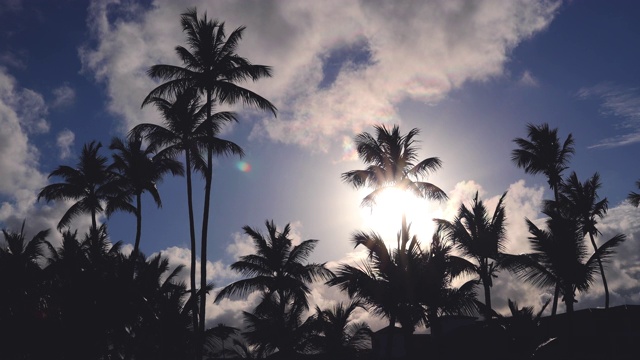 椰子树映衬着蓝色的热带天空和白云。夏天的假期。视频素材