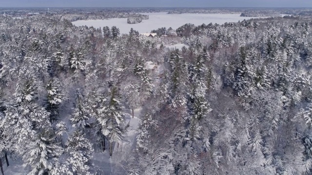 在被新雪覆盖的地平线上，在冬森林和湖上空飞翔视频素材