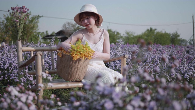 年轻的亚洲女人爱抚玛格丽特花与日落视频素材