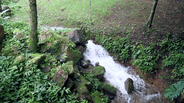 森林里的洪水淹没了露营地视频素材