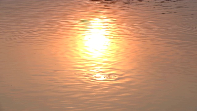 日落时水面视频素材