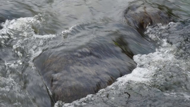 特写的河流流过灰色的石头视频素材