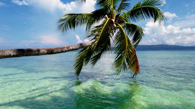 椰子树的海景，阳光下的蓝色海洋。视频素材