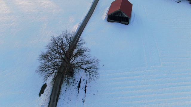 德国巴伐利亚州冬季风景中的乡村公路视频素材