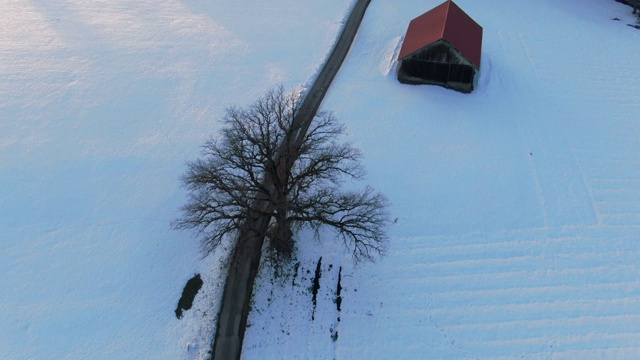 德国巴伐利亚州冬季风景中的乡村公路视频素材