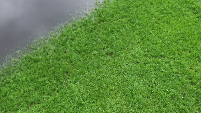 雨后被淹的牧场视频素材