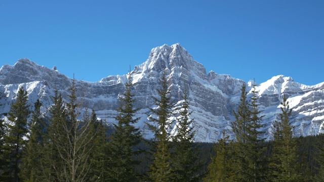 无人机:俯瞰班夫松林之上的落基山脉的风景。视频素材