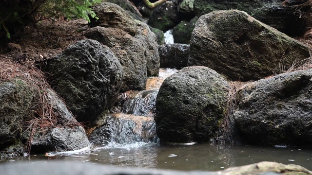 平静的河流视频下载