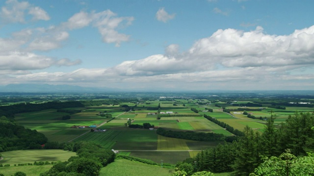 时光流逝，日本北海道十胜平原上的云视频素材