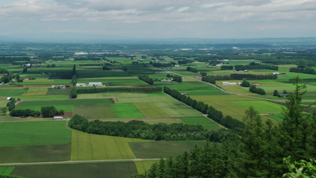 日本北海道十胜平原视频素材