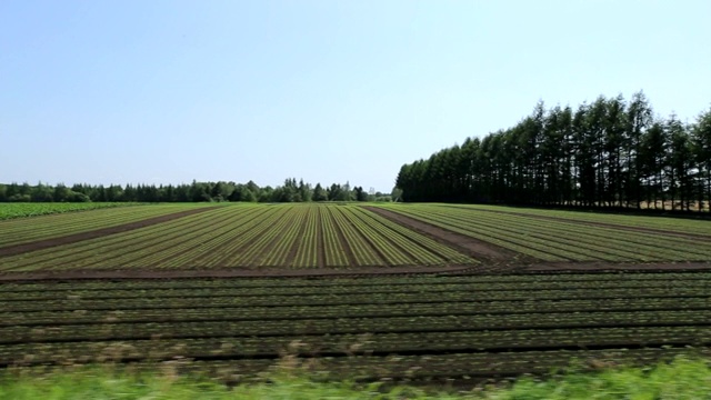 在日本北海道十胜平原开车视频素材