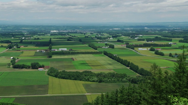 日本北海道十胜平原视频素材