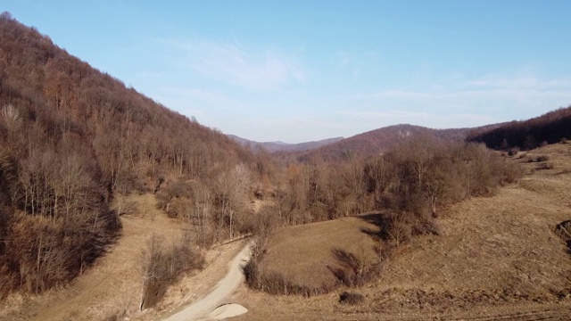 森林的树鸟瞰图。无人机拍摄的深秋的森林和乡村道路。深秋的森林山丘。鸟瞰图森林。视频素材