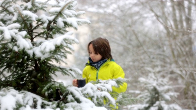 可爱的蹒跚学步的男孩，在操场上玩雪视频素材