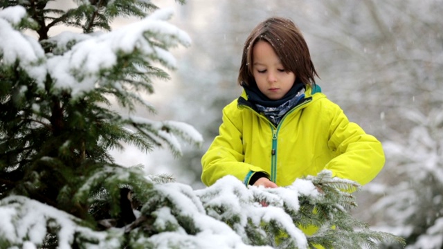 可爱的蹒跚学步的男孩，在操场上玩雪视频素材