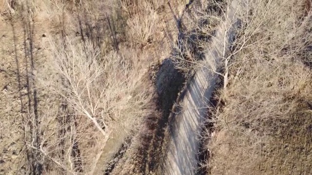 森林鸟瞰图。空中俯瞰秋天没有树叶的森林。空中鸟瞰图的空旷道路在秋天的森林视频素材