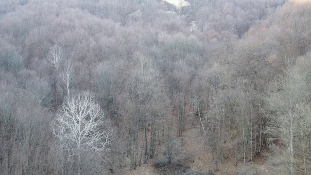 无人机拍摄的乡村地区有山丘和枯死的植被在秋天的白天视频下载