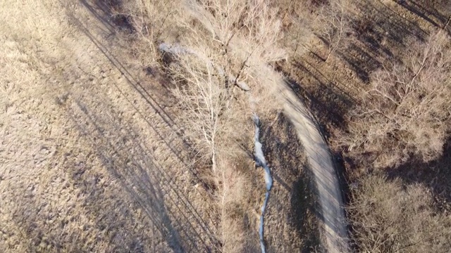 森林鸟瞰图。空中俯瞰秋天没有树叶的森林。空中鸟瞰图的空旷道路在秋天的森林视频素材