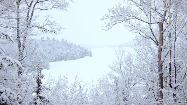 落雪场景向左平移视频素材