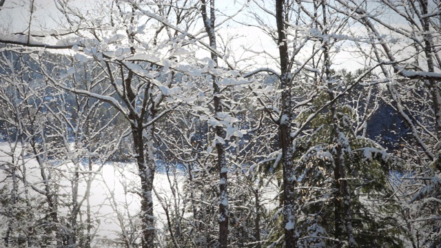 雪在河上淘金视频素材