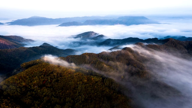 韩国京畿道山上的云海视频素材