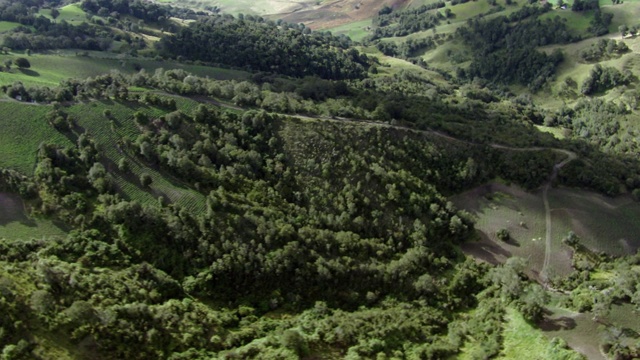 田野鸟瞰图与乡村公路山坡在哥伦比亚视频素材