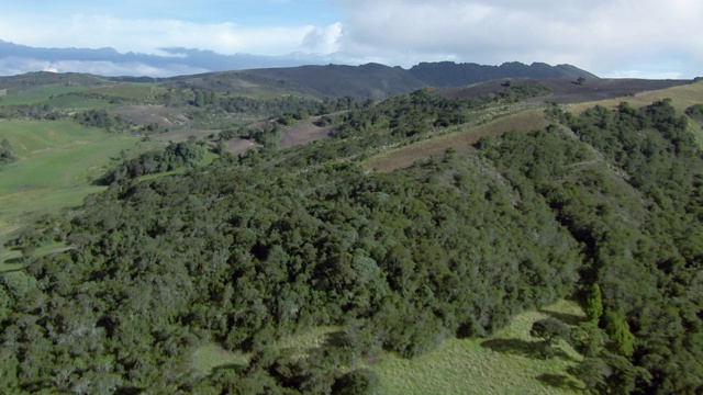 哥伦比亚安第斯山脉东部森林山坡的鸟瞰图。视频素材