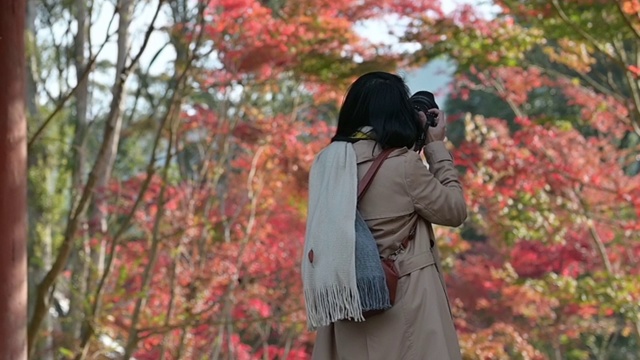 日本女孩第二视频素材