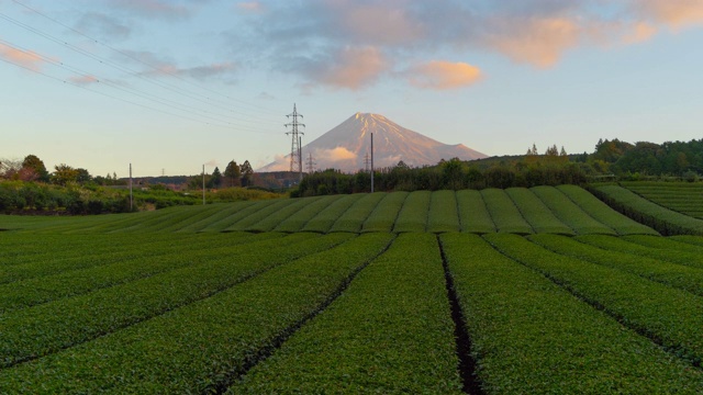 日本静冈县富士山和茶园的日落时间流逝。自然景观背景。视频素材