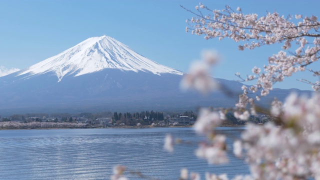 富士山和川口湖上的樱花(机架焦点)视频素材